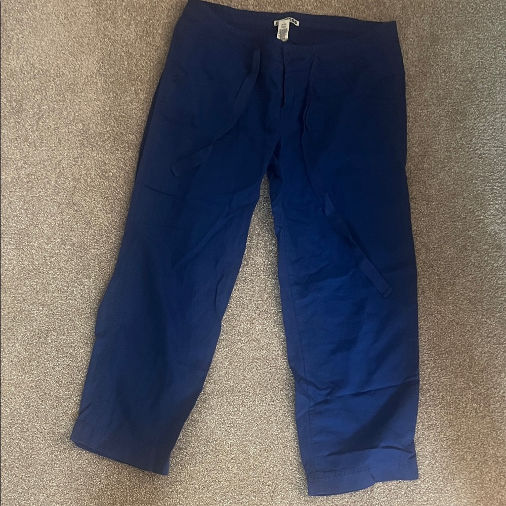 Express Women’s Royal Blue capri size 2